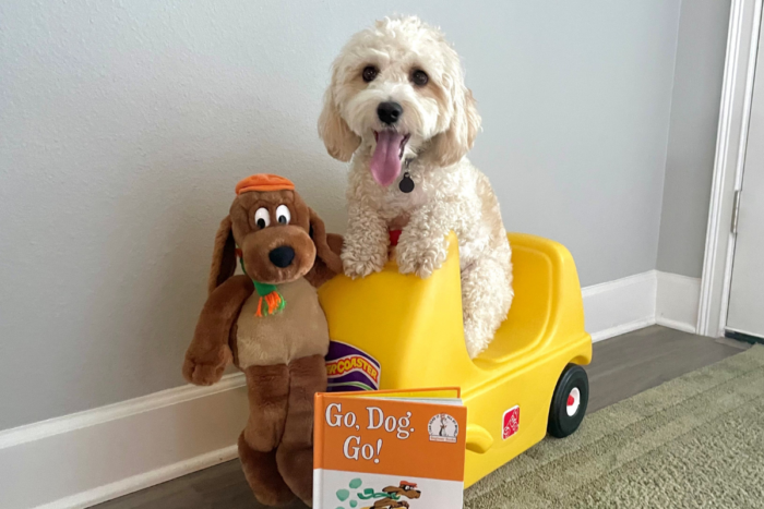 riley in a toy cart reading go dog go